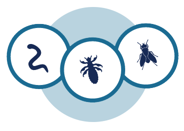 SAME BROAD-SPECTRUM PARASITE CONTROL